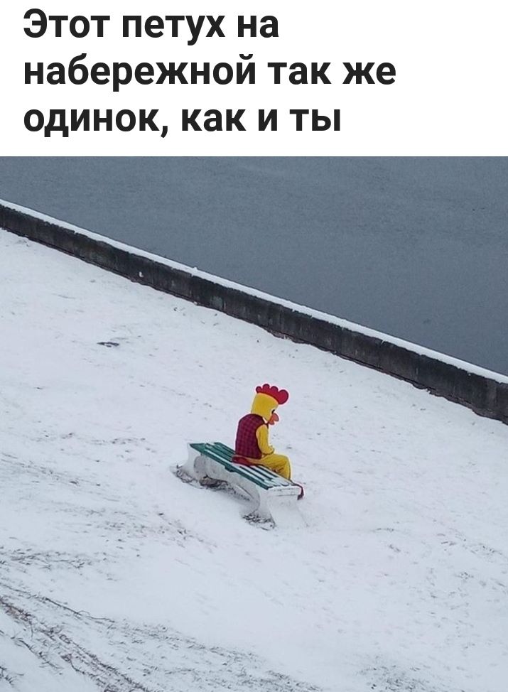 Этот петух на набережной так же ОДИНОК как И ТЫ