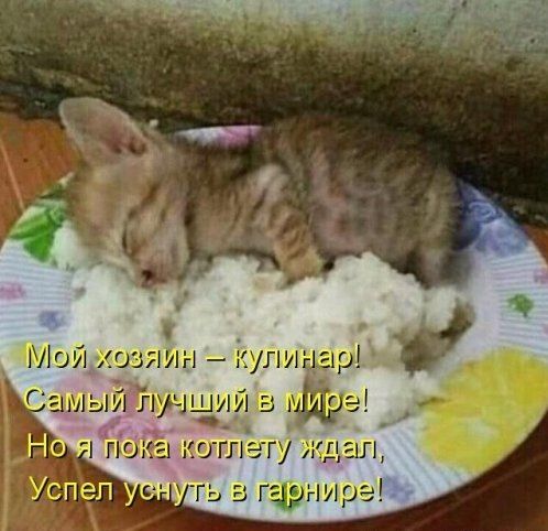 ЧЮИ иззгхфлн ГатыЁйьждыШ