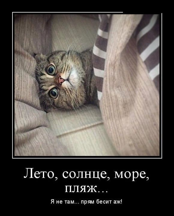Лето солнце море ПЛЯЖ Я не там прил бесит аж