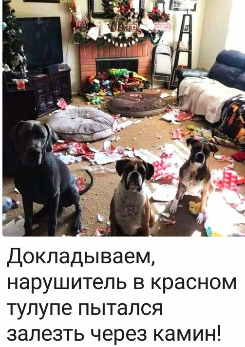 докладываем нарушитель в красном тулупе пытался залезть через камин