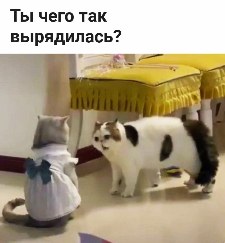 Ты чего так вырядилась
