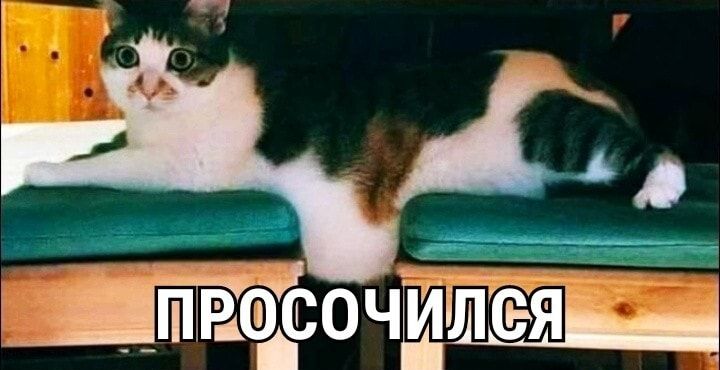 __ПвсочЦЫ