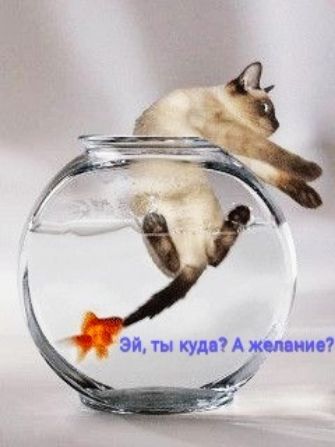 эп ты куди А житті
