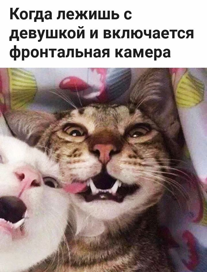 Когда лежишь с девушкой и включается фронтальная камера