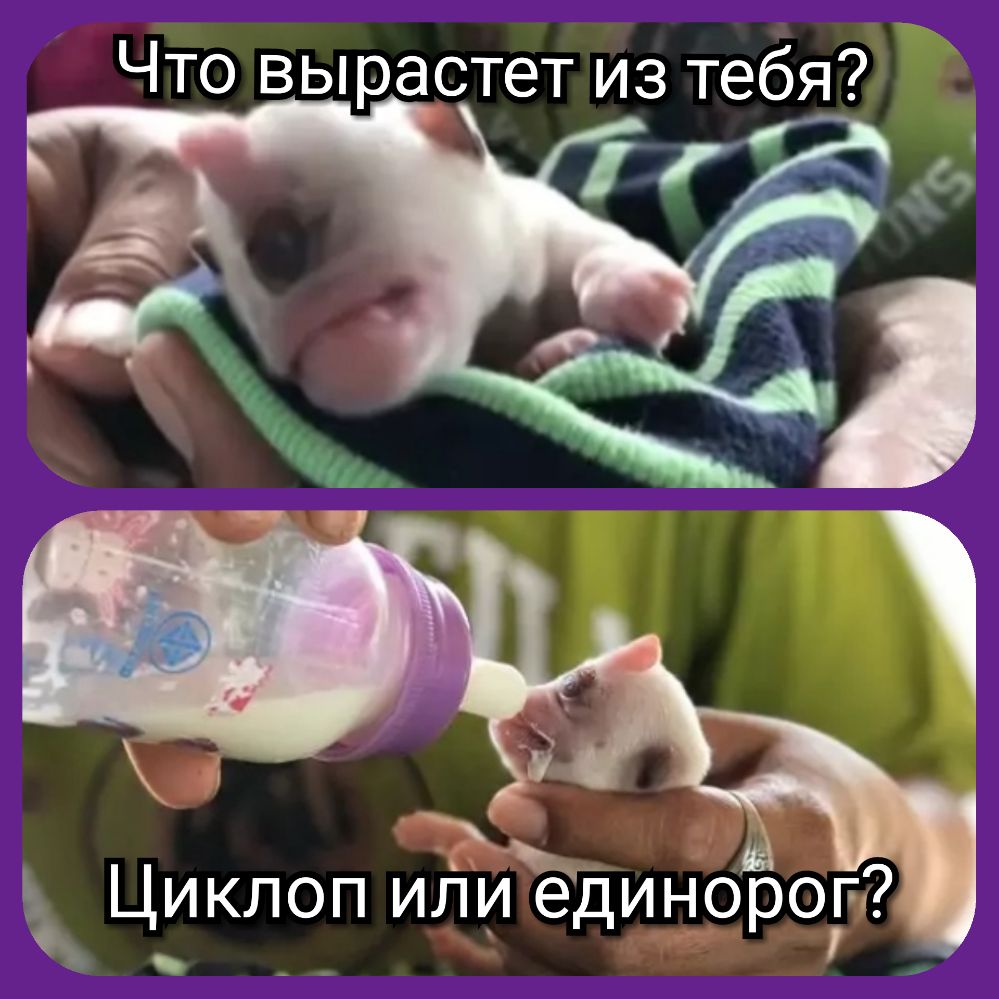 Что вырастет из тебя