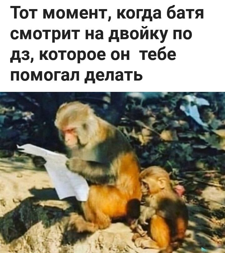 Тот момент когда батя смотрит на двойку по дз которое он тебе помогал делать
