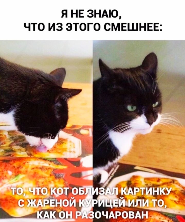 Я НЕ ЗНАЮ ЧТО ИЗ ЭТОГО СМЕШНЕЕ