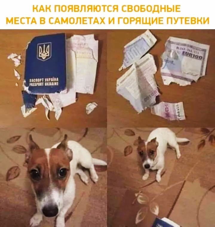 КАК ПОЯВЛЯЮТСЯ СВОБОДНЫЕ МЕСТА В САМОПЕТАХ И ГОРЯЩИЕ ПУТЕВКИ шипит