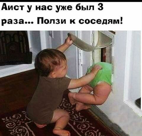 Аист у нас уже был 3 раза Попзи к соседям