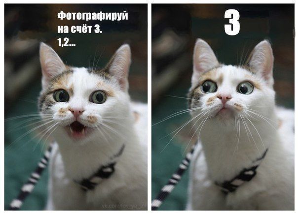 ФПШМШИШЙ