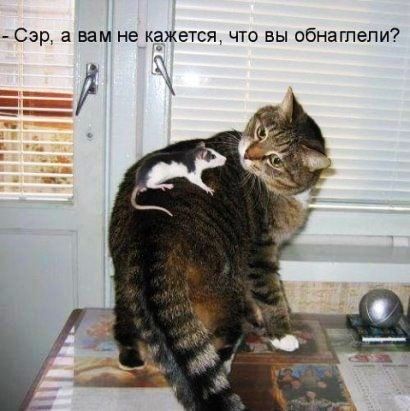 Сэр а вам не кажетсж что вы сбнагпепи