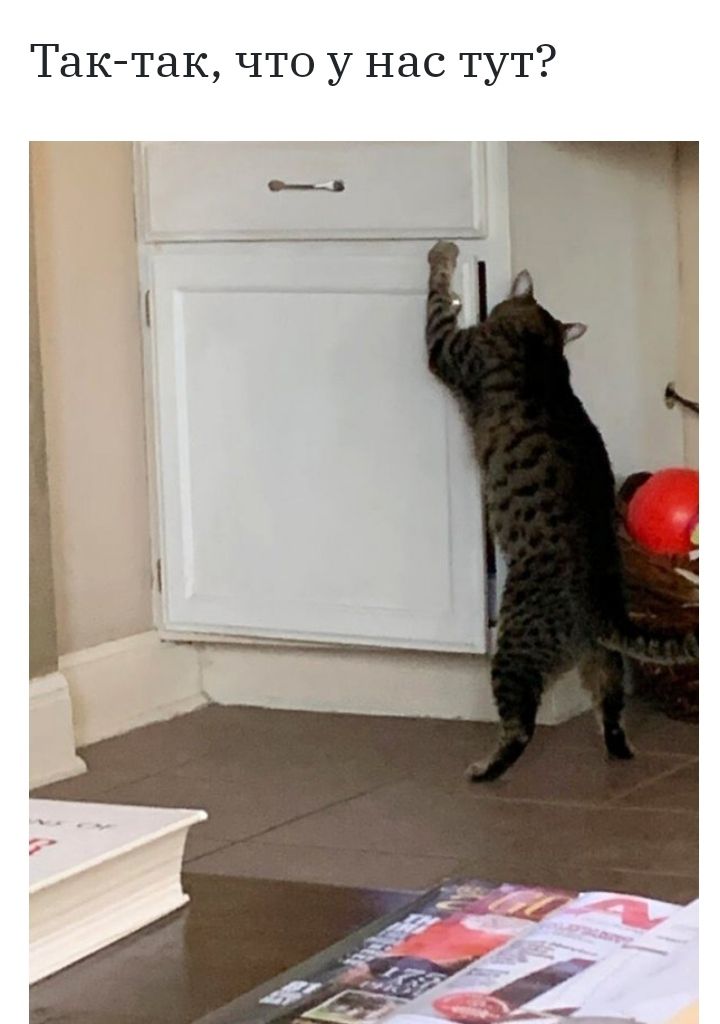 Тактак что у нас тут