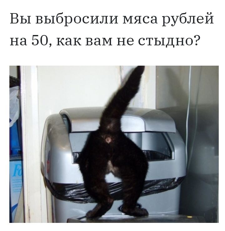 ВЫ выбросили мяса рублей на 50 как вам не стыдно
