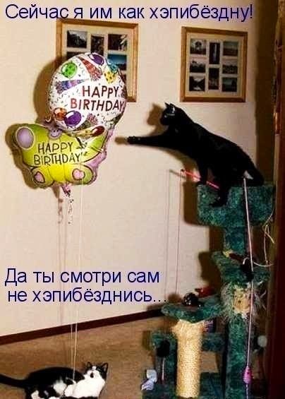 Сейчас я им как хэпибёздну ц Ё Да ты смотри сам не хэпибёзднись