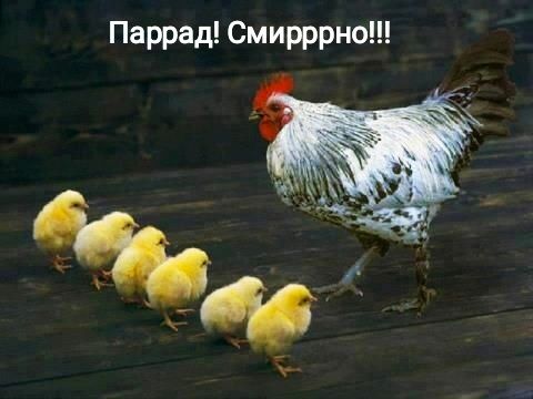 Паррад Смирррно