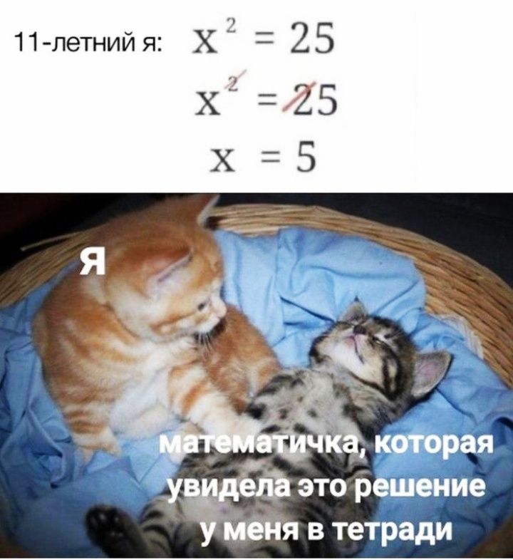 11 летнийя ХЗ 25