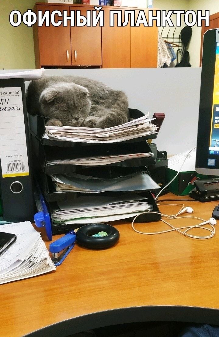 _ _ _ Г __ ОФИСНЬШР