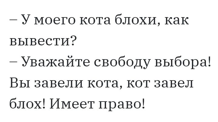 У моего кота блохи как вывести Уважайте свободу выбора Вы завели кота кот завел блох Имеет право