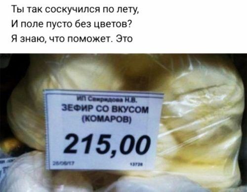 Ты так соскучился по лету И попе пусто без цветов Я знаю что поможет Это