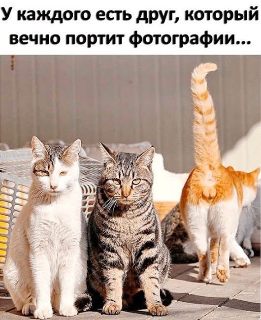 У каждого есть друг который вечно портит фотографии
