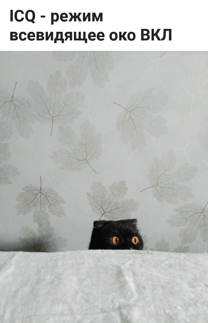 ЮО режим всевидящее око ВКЛ