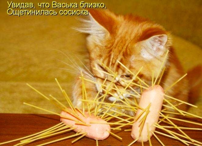 Уви О дав что Васька близко щетинипась СОСИСКЭ