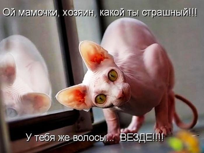 шин іноді ты спрашэіыйш ОЙ імамочки