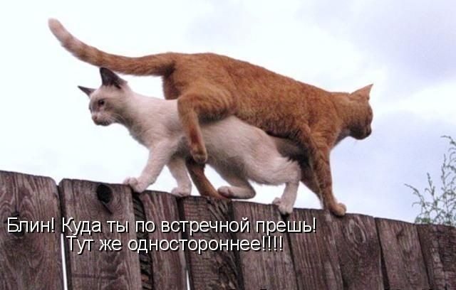 Блин Куда ты по встречной прешь Тут же одностороннее