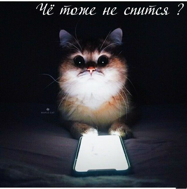жнгшшйщ