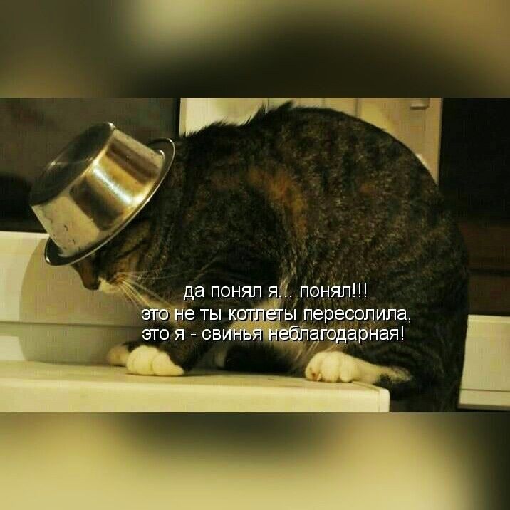 Ь да понял понЯп ты к ы Перевопипа зтоя св Ю рная _