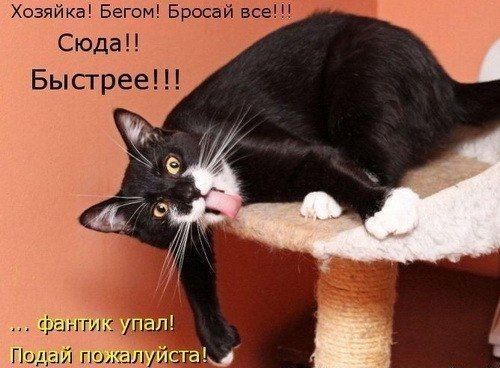 Хозяйка Бегом Бросай все Сюда Быстрее антик уг Г гш