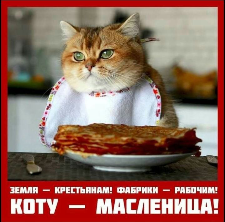 ЁЁШВ іі13г__ _ПП_Ь ПУЙП _ ЗУ и д