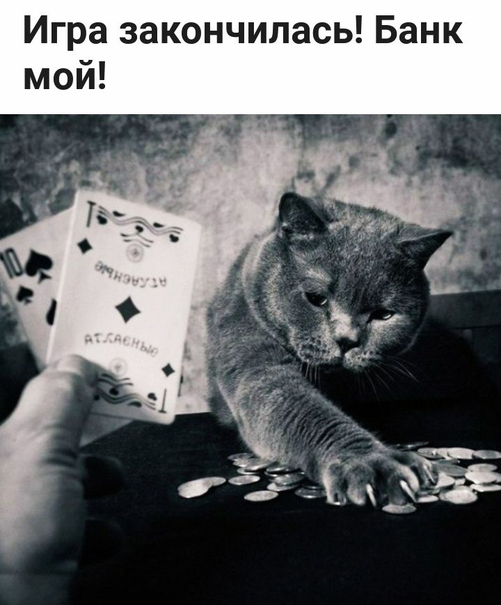 Игра закончилась Банк