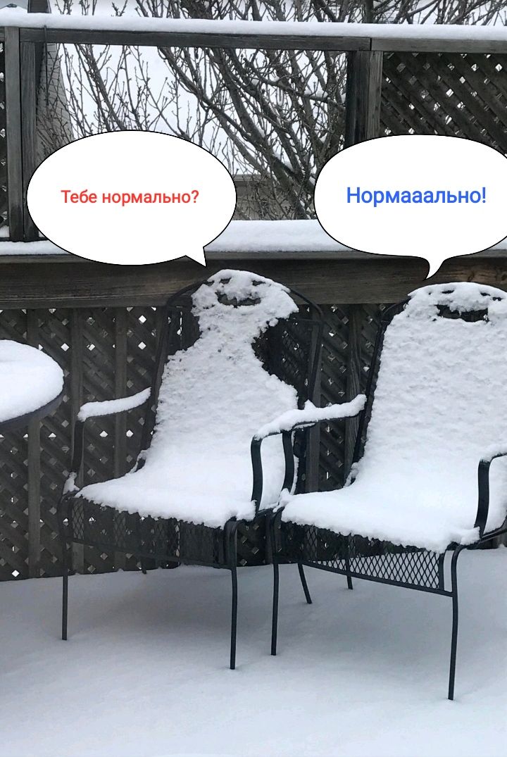 тщ жчом