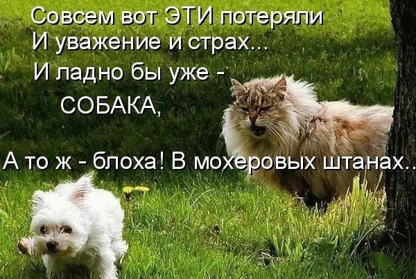 Совсем вот ЭТИ потеряли И уважение и страх