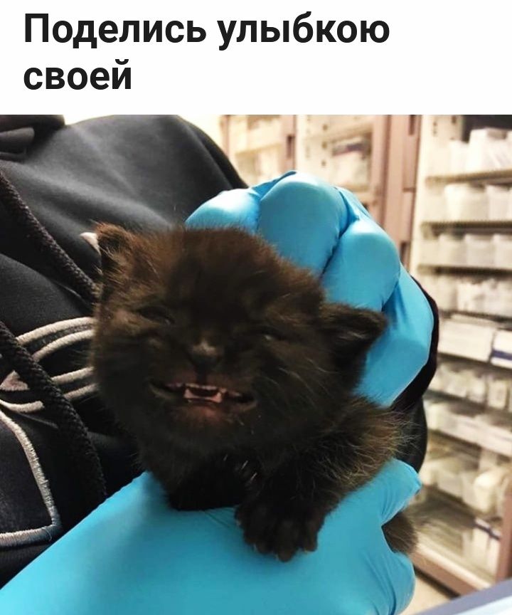 Поделись улыбкою