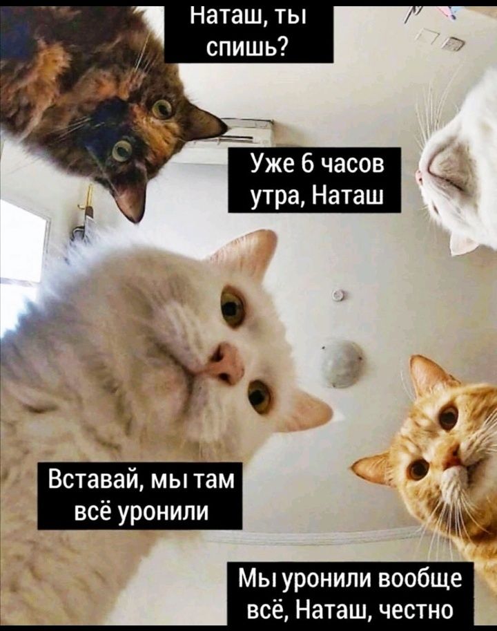 Наташ ты У 4 1 всё уронили Щ Мы уронили вообще всё Наташ честно