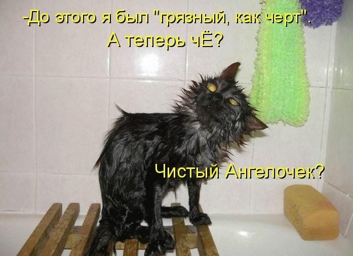 до эгого Я был грязный как чер А теперь ЧЁ Ангелочек