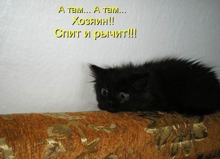 А там А гены Хранит Спит и рычит