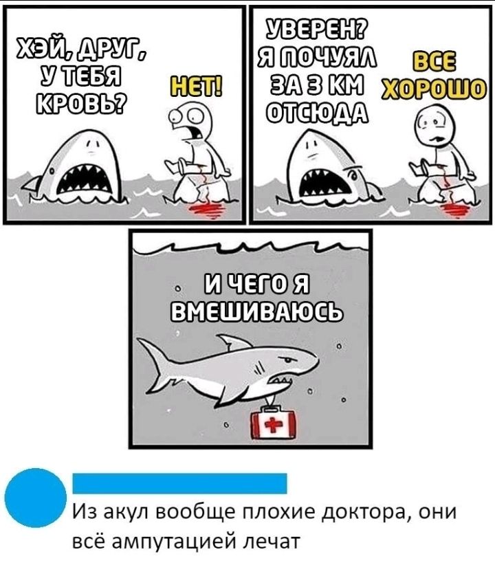 Из акул вообще плохие доктора они всё ампутацией лечат