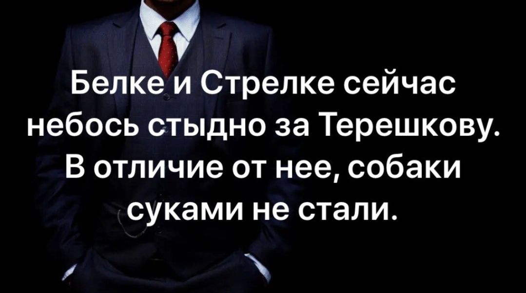 6 Белке и Стрелке сейчас небось стыдно за Терешкову В отличие от нее собаки суками не стали