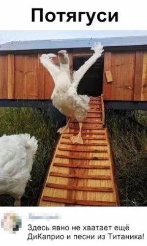 Потягуси Здесь и а хватает еще ними и пап Титцница