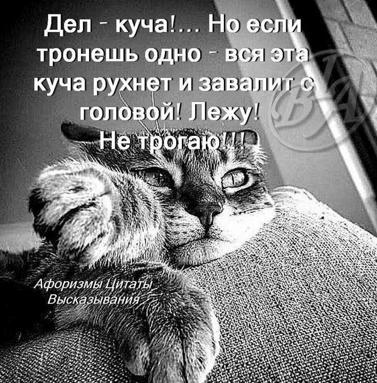 Дел куча тронешьо и 343113 К