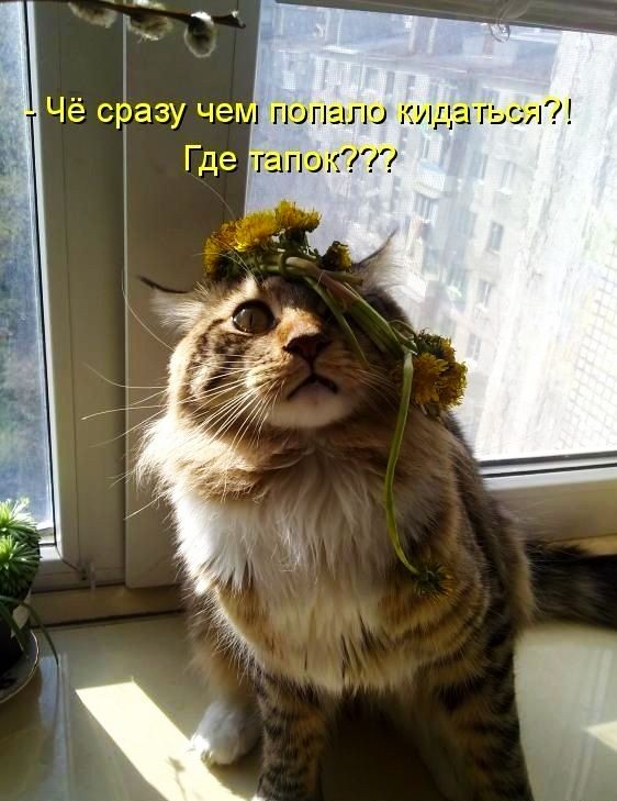 Ш