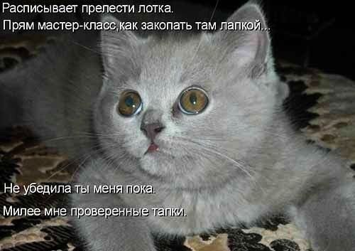 Расписываег прачести лотка