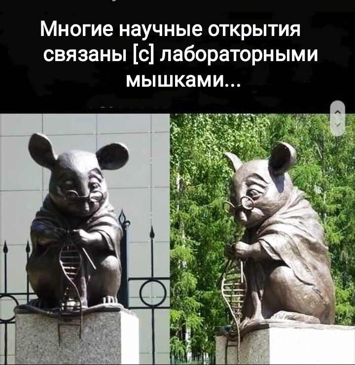 Многие научные открытия связаны с лабораторными МЫШКЭМИ