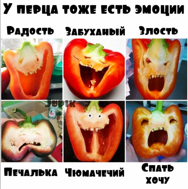 У ПЕВЦД ТОЖЕ ЕСТЬ ЭМОЦИИ РАДОСТЬ видный злость