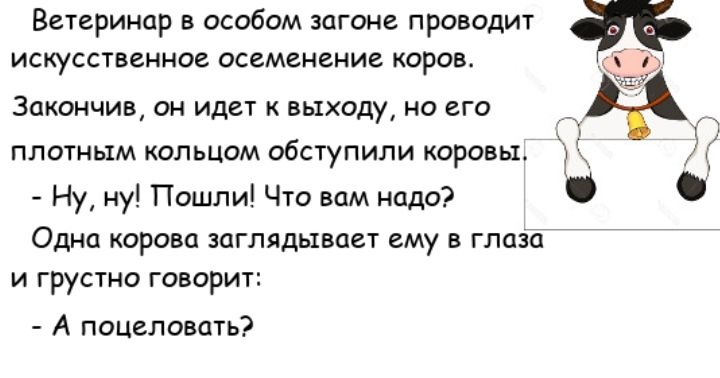 Ветеринар в особом вагоне проводит искусственное осеменение коров Закончив ОН ИДЕТ К выходу НО ВГО ПЛОТНЫМ КОЛЬЦОМ ОбСТуПИЛИ КОРОВЫ Ну ну Пошли Что вам надо Одна корова заглядывает ему в глаза и грустно говорит А поцеловать