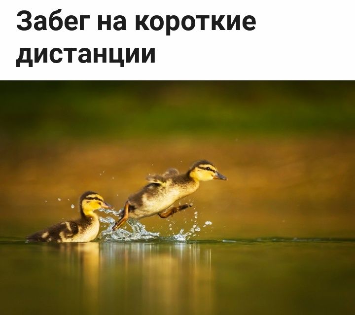 Забегнакороткие дистанции
