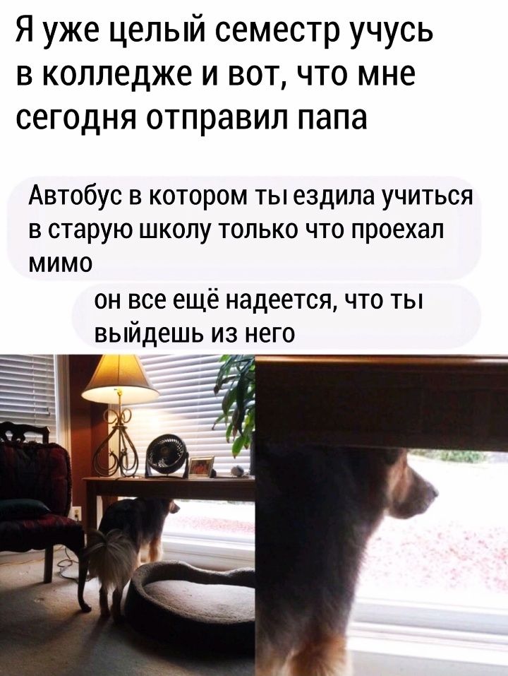 Я уже целый семестр учусь в колледже и вот что мне сегодня отправил папа Автобус в котором ты ездила учиться в старую школу только что проехал мимо он все ещё надеется что ты выйдешь из него